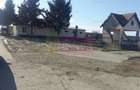 Teren Construcții intravilan de 15750 mp, în Balotești - 6