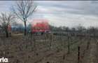 Teren de vanzare 3000 mp, Prisacani (27 km de IASI) - 2