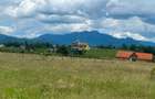 Teren 535m2 Zarnesti - Tohanu Vechi - Sohodol - 6