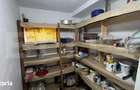 Proprietate cu 2 case, 3.345 mp teren, Balota de Jos, comuna Murgasi - 17