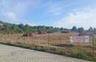 Teren SUBCETATE Bistrita 60 ari - 1