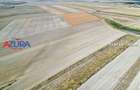 Teren agricol extravilan de 47200 mp, în Căteasca - 1