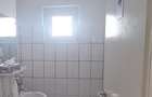 Spațiu comercial, de 50 mp, în Astra - 8