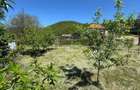 Teren intravilan tinca 600mp - 7