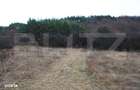 Teren intravilan, 1539 mp, zona Aapp, Faget - 1