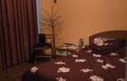 Apartament cu 4 camere decomandat în Dristor - 4