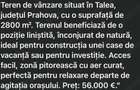 Teren de vanzare talea prahova - 1