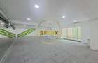 Spațiu comercial, de 236 mp, în Banu Manta - 2