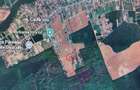 Vanzare teren constructie casa CIOFLICENI - SNAGOV - 3