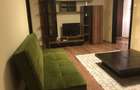 Vanzare 2 Camere Dinicu Golescu 31 Bloc Reabilitat - 7