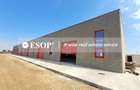 Spațiu industrial, de 300 mp, în Vest - 17