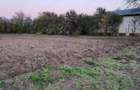 Teren intravilan Plataresti 1500 mp 20 km distanta de Bucuresti - 1