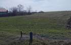 Teren intravilan de vanzare, 15500 m2, Localitatea Dascalu, Jud. Ilfov - 3