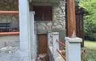 Vand casa de vacanta P+1 Valiug - Crivaia - 6