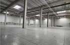Spatiu Industrial - 6000 mp - Logistica - Productie - Depozitare - Distributie - 4