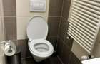 Apartament 1 camera in centrul istoric - 1
