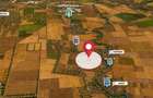 Teren intravilan de vanzare 15.300 mp, deschidere la DN4, Frumusani - 5