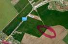 Teren intravilan Sabareni, Buftea - constructii hale - 5