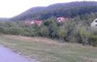 Teren Construcții de 5823 mp, în Budureasa - 7