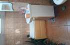 Apartament cu 2 camere semidecomandat în Snagov - 8