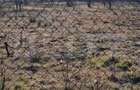 Teren intravilan de vanzare, 860 mp, cu toate utilitatile, zona Podgor - 3