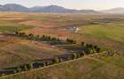 Teren extravilan 44.000 mp (4,4 ha) | Hărman | Comision 0%