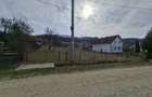Teren intravilan 2400 mp Bradulet Arges | utilitati | 20/mp - 1