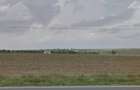 Teren Construcții de 25000 mp, în Mihail Kogălniceanu - 2