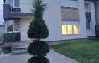 Casă individuală cu 5 camere cu Canalizare în Sântandrei - 2