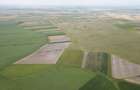 Teren arabil de 40 hectare in Zarand - 4