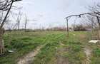 Ferma de vanzare , Loc Nistoresti Jud Constanta - 1