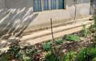 Vand casa ( teren 2.000 mp) in sat Pietrele, jud. Giurgiu - 1