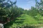 Teren Construcții intravilan de 1670 mp, în Nicolae Grigorescu - 2