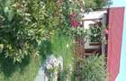 Casa din 2019 cu 4300 mp intravilan, livada bio ?i vie la 45 min de Cluj - 10