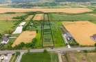 Teren de 10.000 m.p. cu deschidere la DN in Silistea/Todiresti - VS - 3