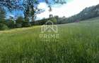 Teren de vanzare | 12 259mp | - 4