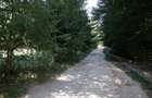 Comision0% Investitie turistica unica - Bran Sohodol 10131mp-Via Transilvanica - 11