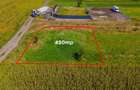 Teren Construcții intravilan de 450 mp, în Bod - 3