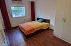 Apartament cu 2 camere semidecomandat în Ozana - 1