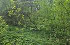 Vand teren impadurit - 3