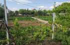 Casă cu 6 camere cu Teren 1500 Mp în Sânandrei - 8