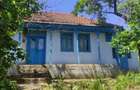 Casă cu 3 camere cu Teren 3067 Mp în Gorban - 2