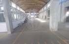 Spațiu industrial, de 3,500 mp, în Bereasca - 11