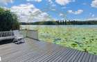 Dom00445 - vila de poveste la lac cu ponton in snagov - 2
