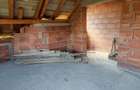 Casa 4 camere, 240 mp, teren 4000 mp, zona Pinticu - 1