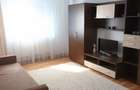 Apartament cu 2 camere decomandat în Iosefin - 6