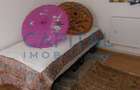 Apartament cu 2 camere semidecomandat în Gruia - 2