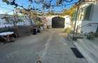 Calnic, jud Alba - Casa taraneasca cu dependinte, gradina, vie si teren arabil l