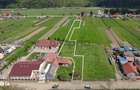 Comision 0% - Casa Pitoreasca In Acris - Vama Buzaului - 8