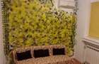 Apartament cu 2 camere semidecomandat în Universitate - 4